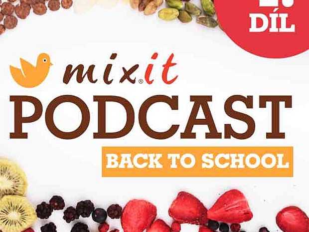 MIXIT PODCAST IV.