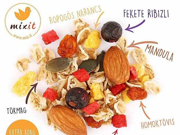 EGÉSZSÉGES MÜZLI: HOMOKTÖVIS