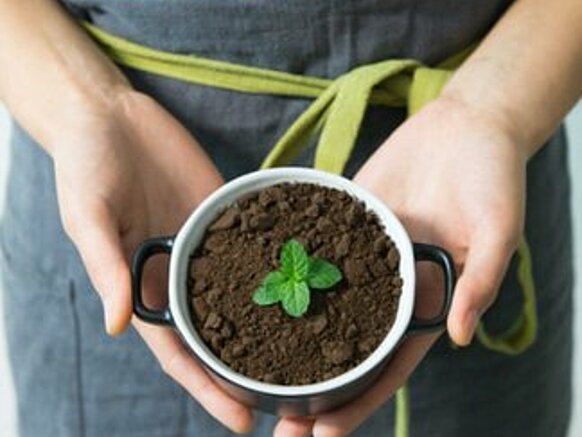 5 diet przyjaznych dla środowiska
