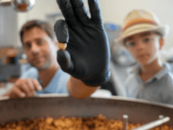 Mixit we włoskim Piemoncie: Jak się produkują orzeszkowe Mixitelle?