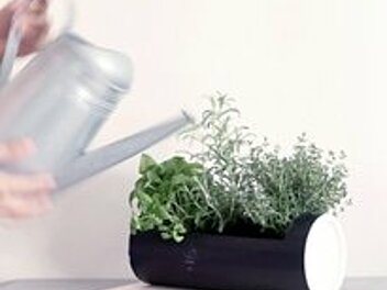 DIY: Doniczka z tuby
