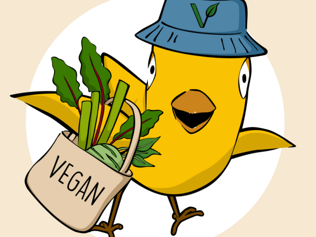 Najlepší vianočný darček pre vegána: Tipy na vegánske darčeky