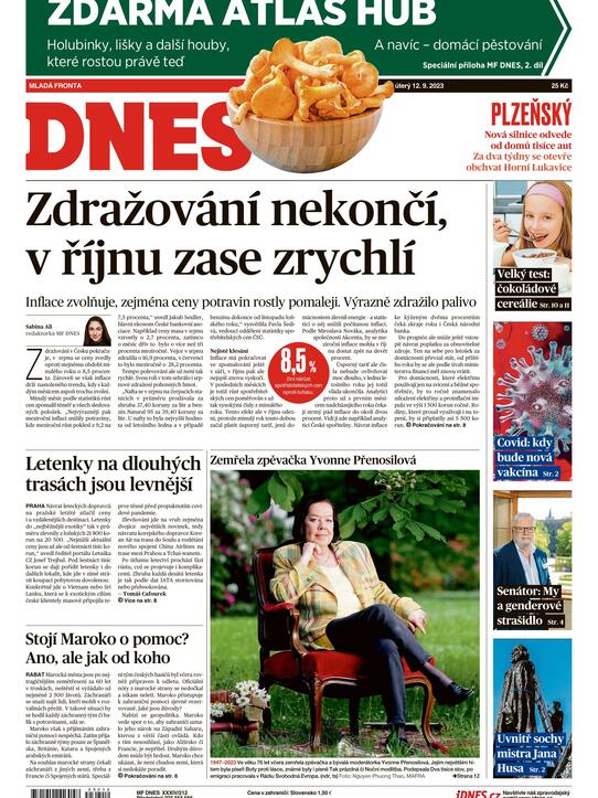 S mlékem či jogurtem chutnají a zasytí
