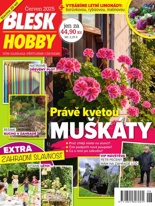 Dobré jídlo z Mixitu