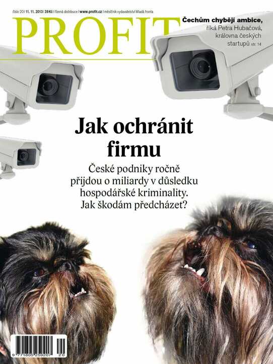 Profit 201/2013