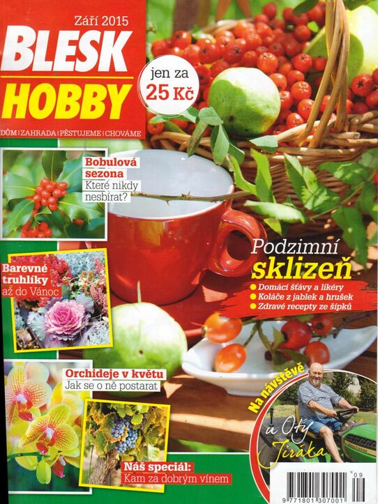 Blesk Hobby 09/2015