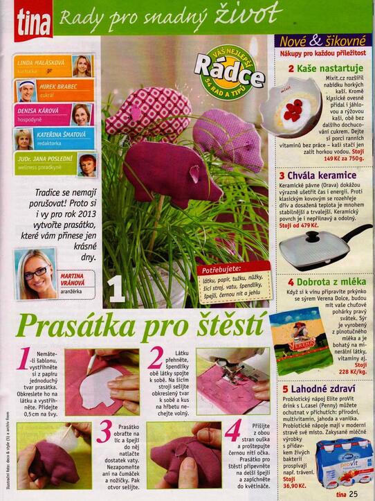 TIna: Nové šikovné