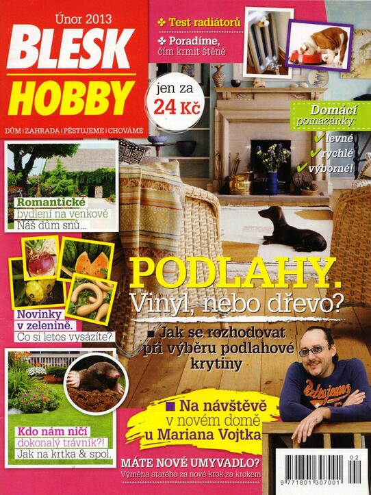 Blesk Hobby 2/2013