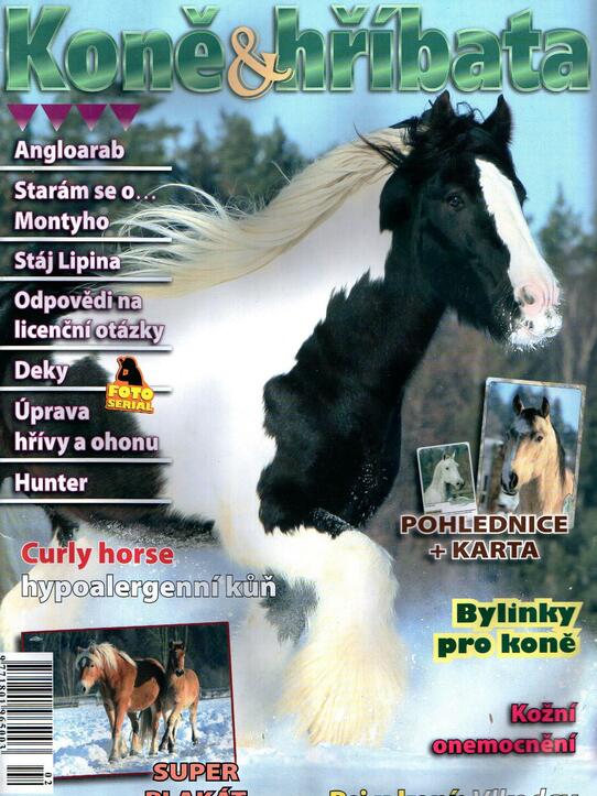 Koně a hříbata 2/12013