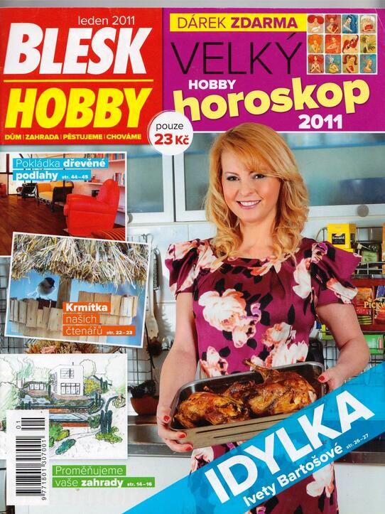 Blesk Hobby 01/2011
