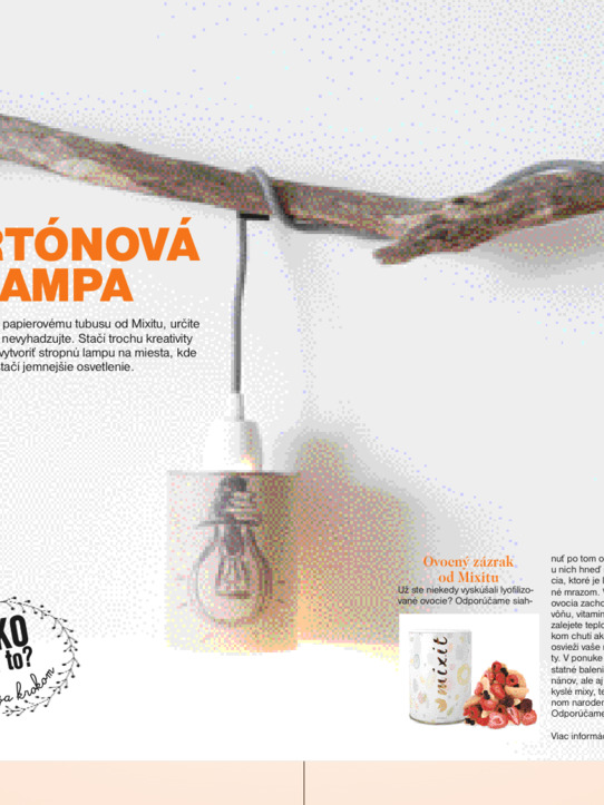 Praktická Slovenka 8/2018