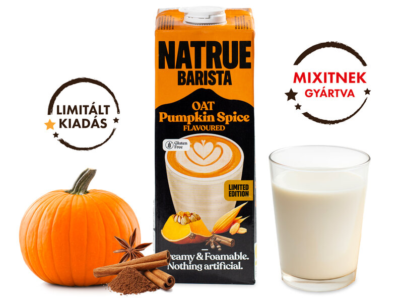 Zabital Barista - Pumpkin Spice akciós termékkép 1