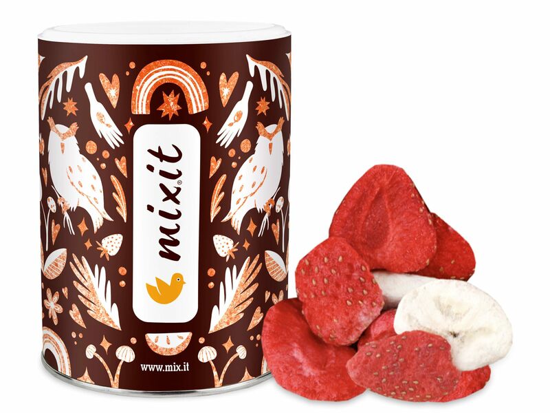 Fruits croustillants – Banane et fraise