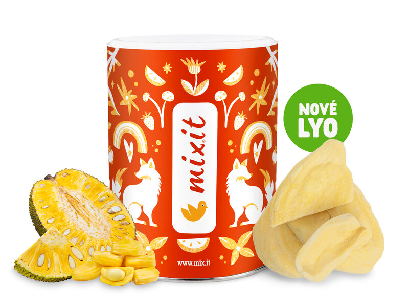 Křupavé ovoce - Jackfruit