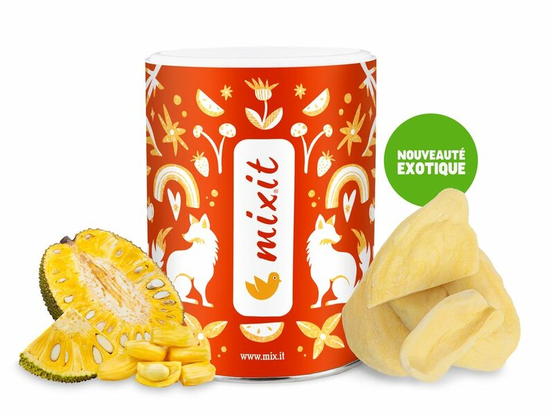 Fruits croustillants – Jackfruit