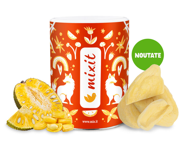 Fructe crocante - Jackfruit