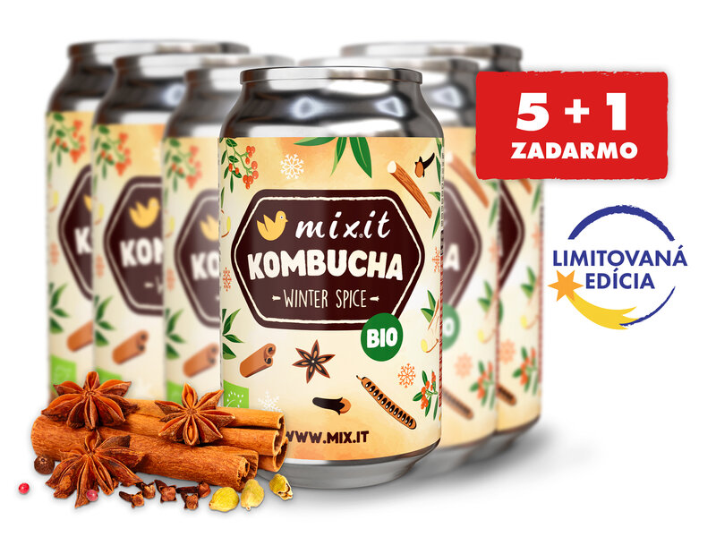 Mixit Bio Kombucha – Winter Spice (6 ks)